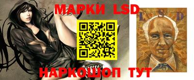 гидра Мариинск