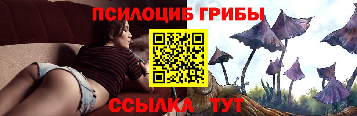 Галлюциногенные грибы MAGIC MUSHROOMS  Вход с VPN  Галлюциногенные грибы ЛСД  Тула 